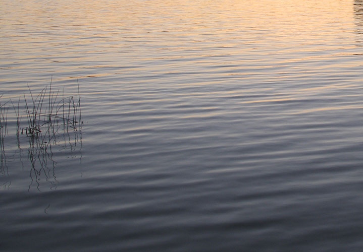 lake sunset.jpg - OLYMPUS DIGITAL CAMERA         